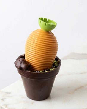 Carotte-pot