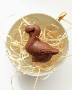 Friture-canard